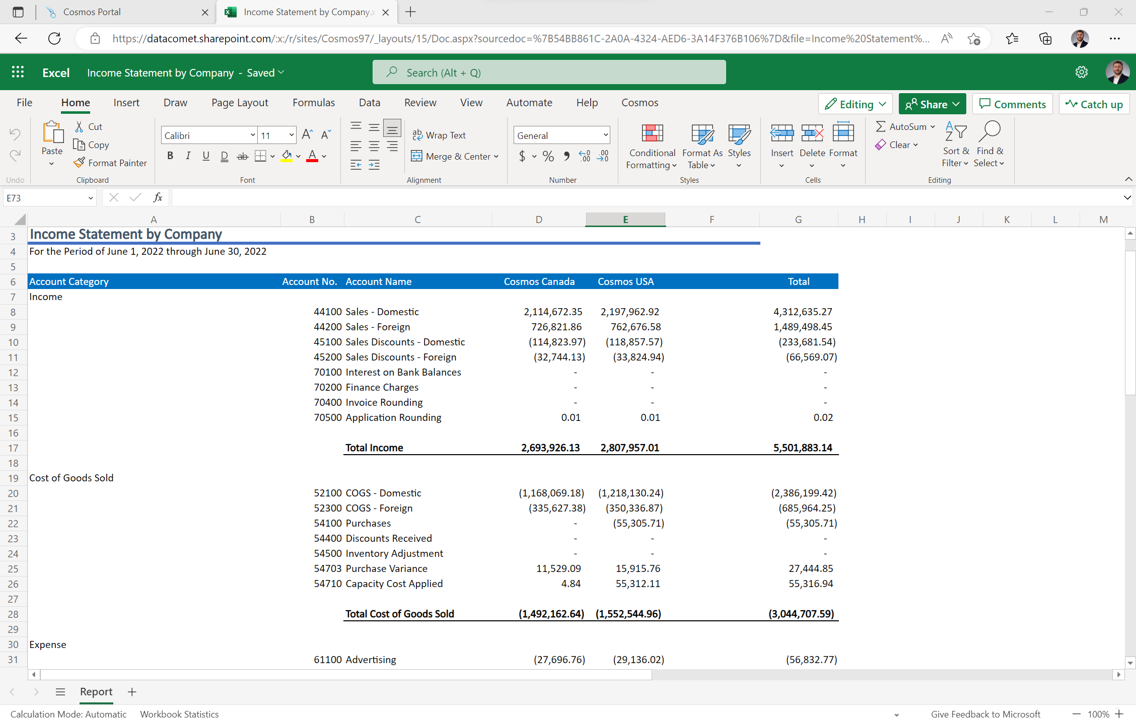 Cosmos screenshot: Cosmos Financial Report Sample