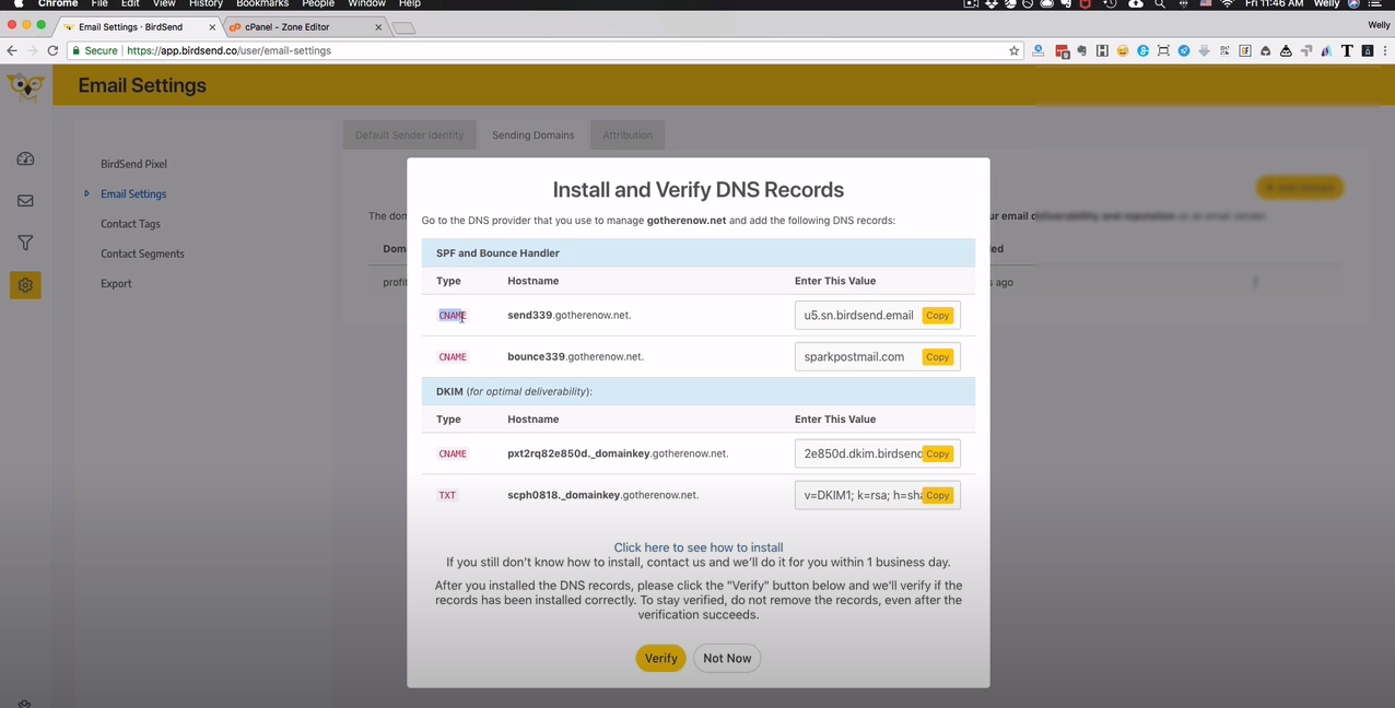 BirdSend verify DNS records