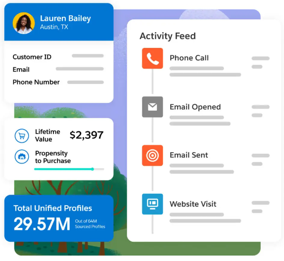 Salesforce Data Cloud Logiciel - 3