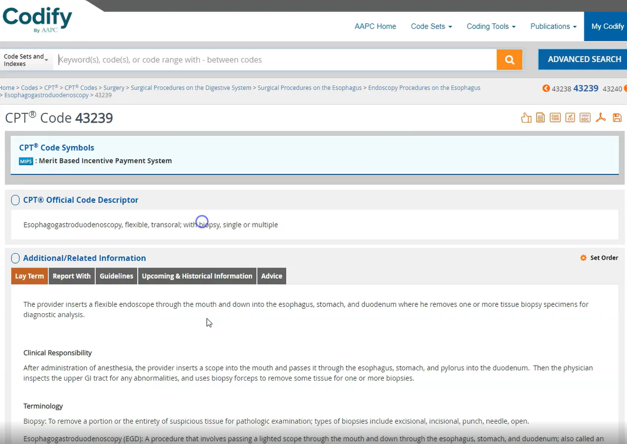 Codify Pricing, Cost & Reviews - Capterra UK 2026