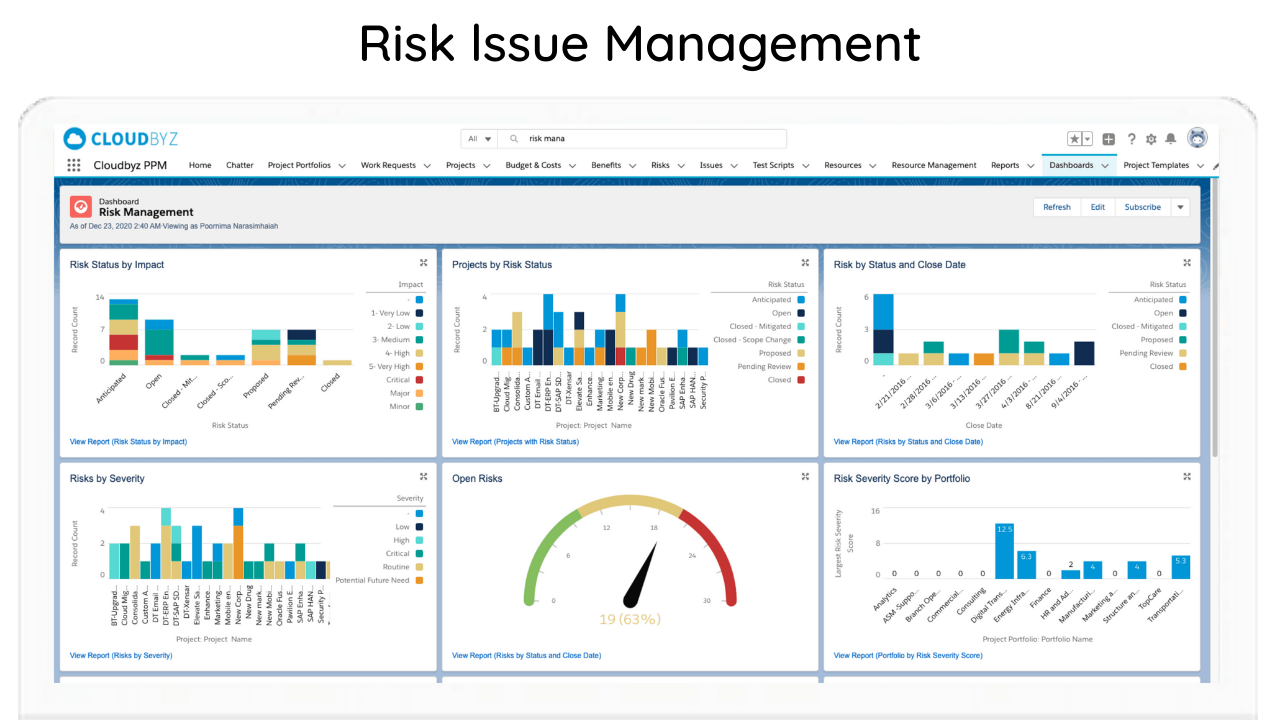 Cloudbyz PPM screenshot: Risk Issue Management