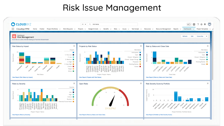Cloudbyz PPM screenshot: Risk Issue Management