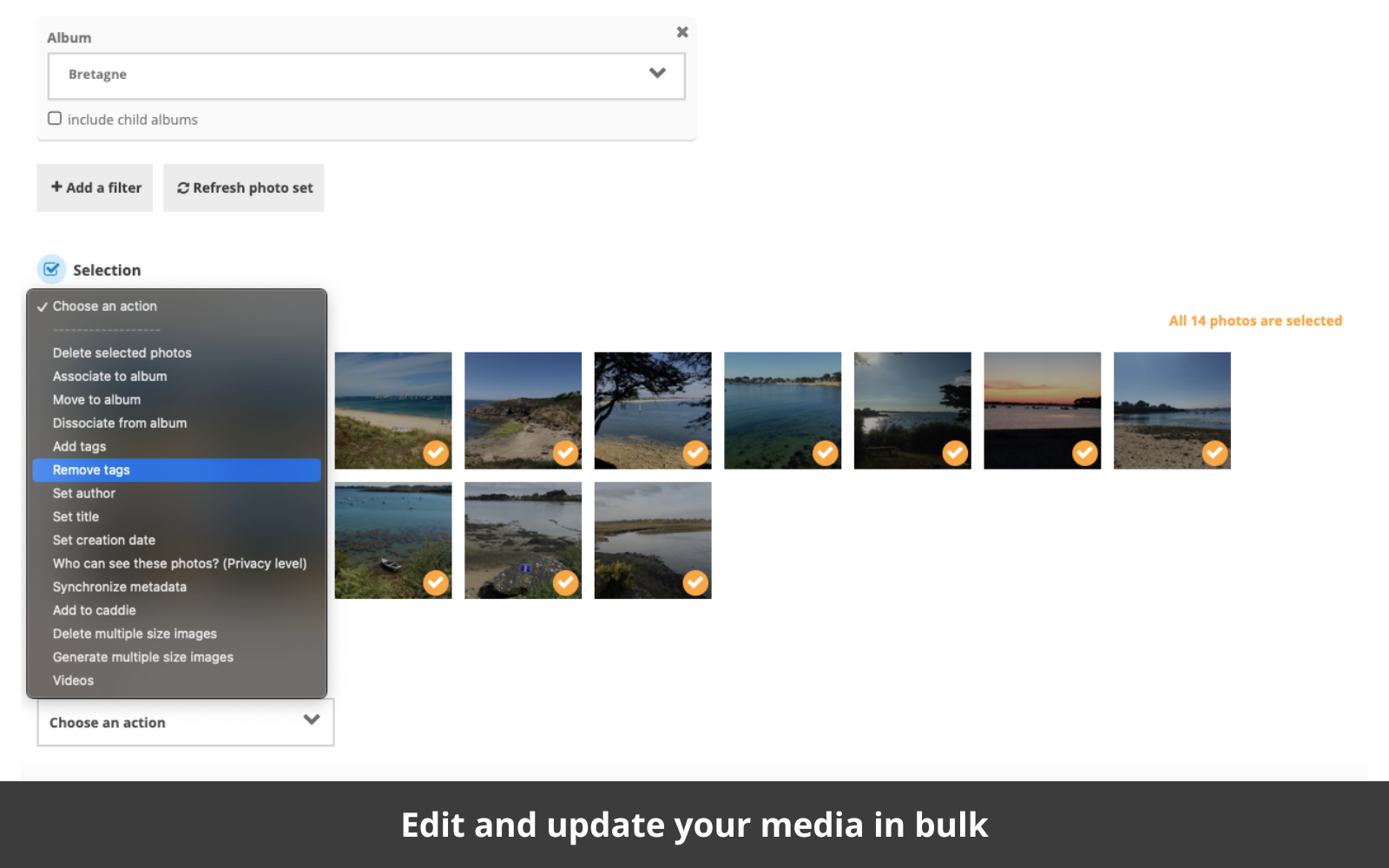 Piwigo Software - Batch editor