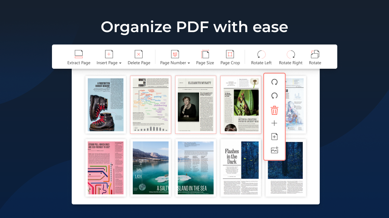 Organize PDF with ease