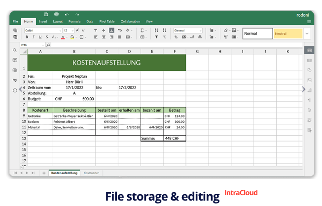 IntraCloud screenshot: File storage and editing