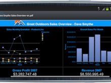 IBM Cognos Analytics Software - 5