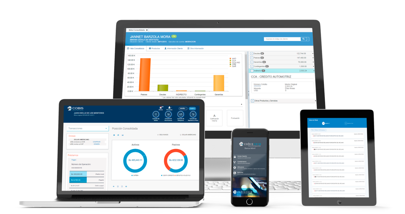 COBIS Core screenshot: COBIS CORE data visualization