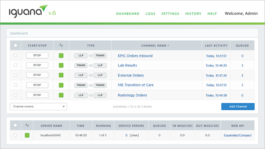Iguana Dashboard-thumb