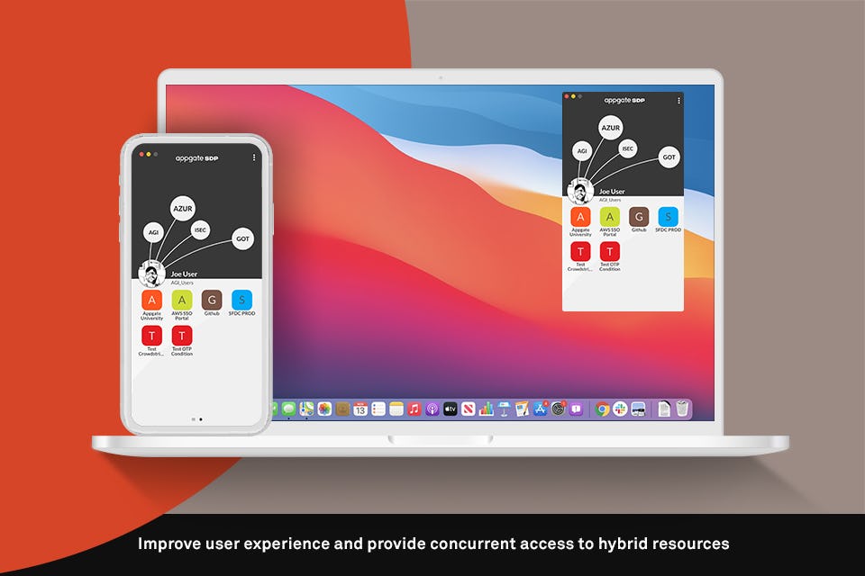 Appgate SDP Software - 1