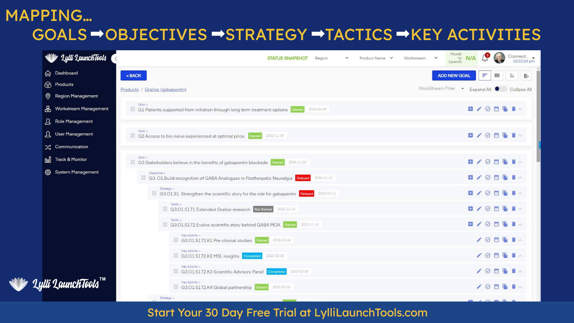 Lylli LaunchTools Go To Market Strategy Roadmap is dynamic & interactive which helps Pharmaceutical & Medical Device companies Launch Better, Faster & Smoother. Start for free today at LylliLaunchTools.com/signup