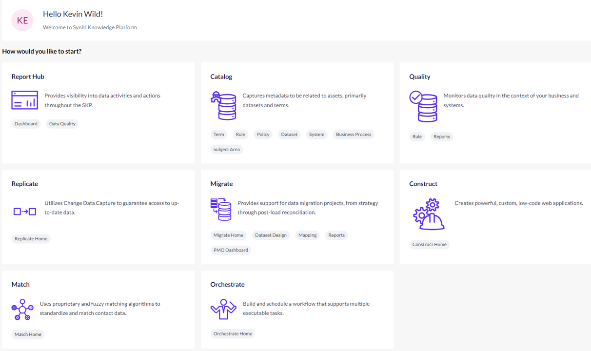 Syniti Knowledge Platform screenshot