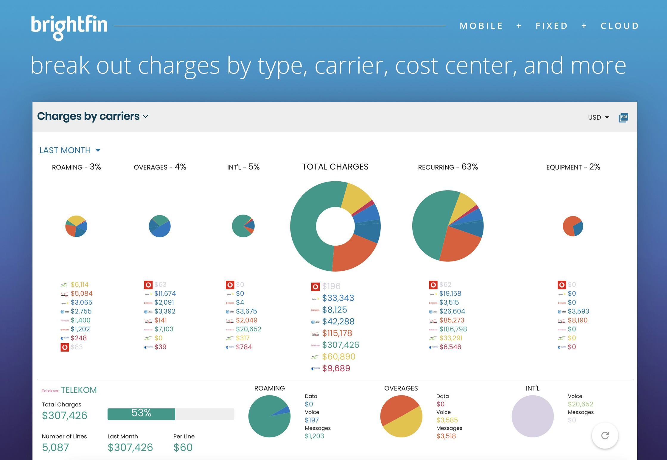 brightfin Software - Break out charges by type, carrier, cost center, and more