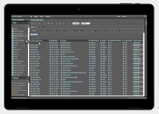 Hummingbird Software - 3
