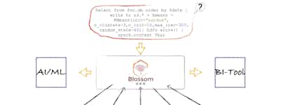 Blossom Federated AI Platform