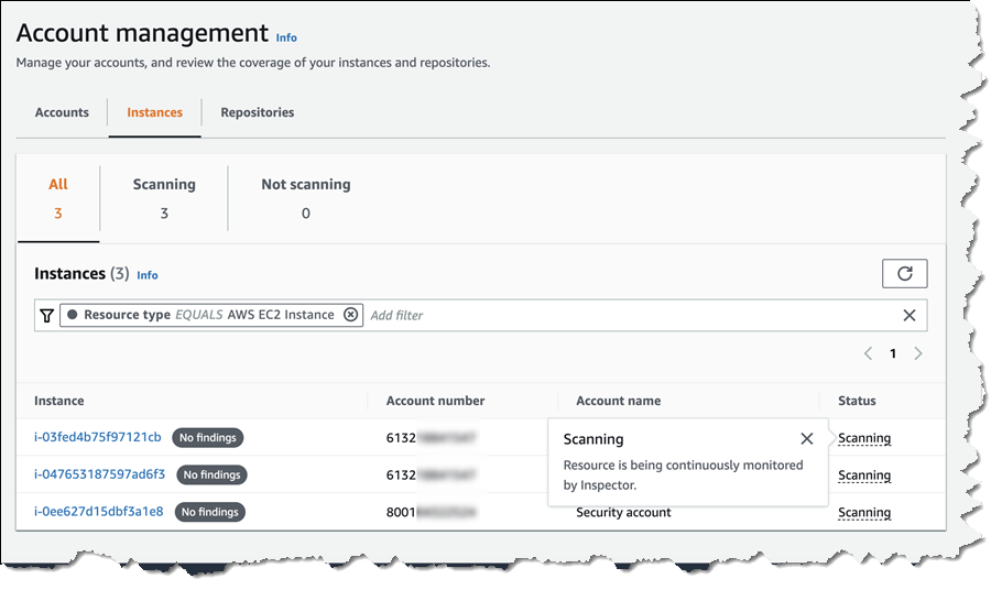 Amazon Inspector Software - 3