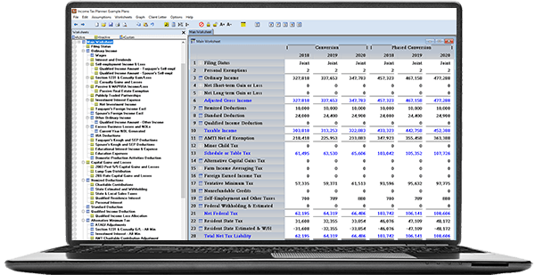 Income Tax Planner screenshot: Income Tax Planner reports