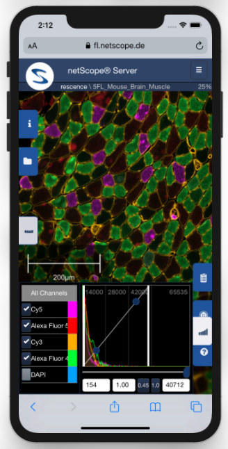 View fluorescence images even under ios and adjust the channels.