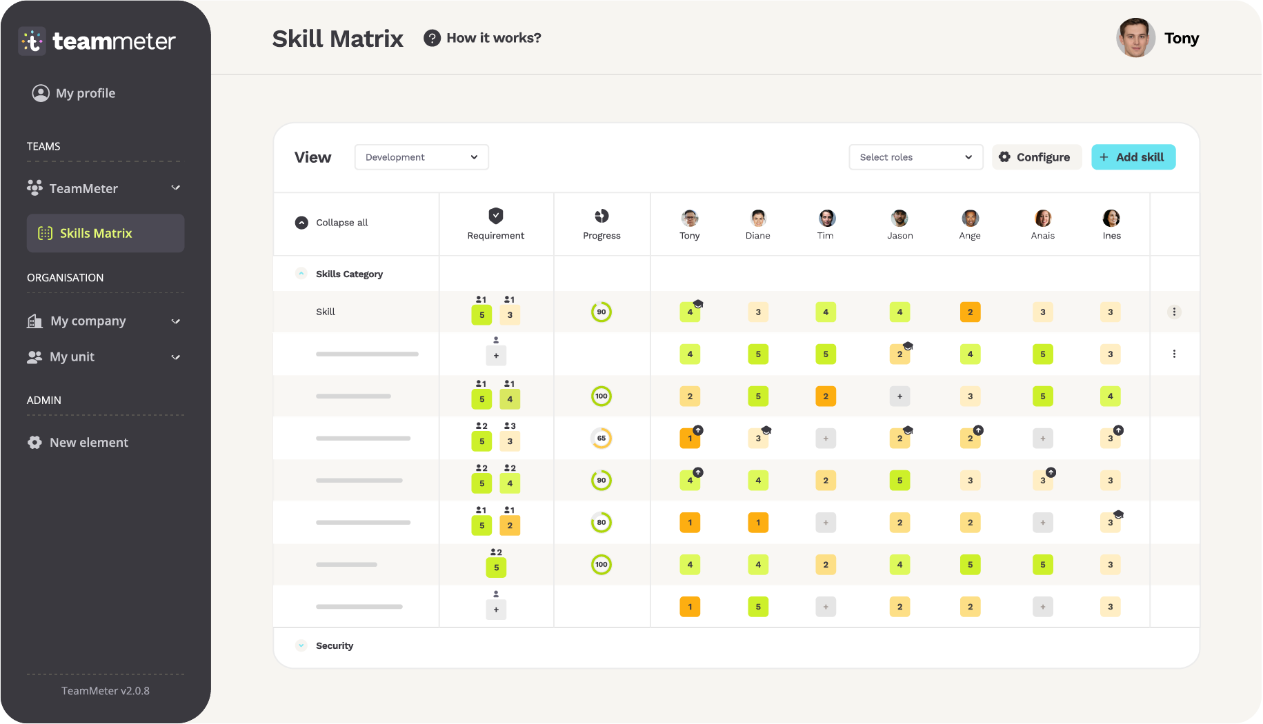 Teammeter screenshot: Teammeter skills matrix