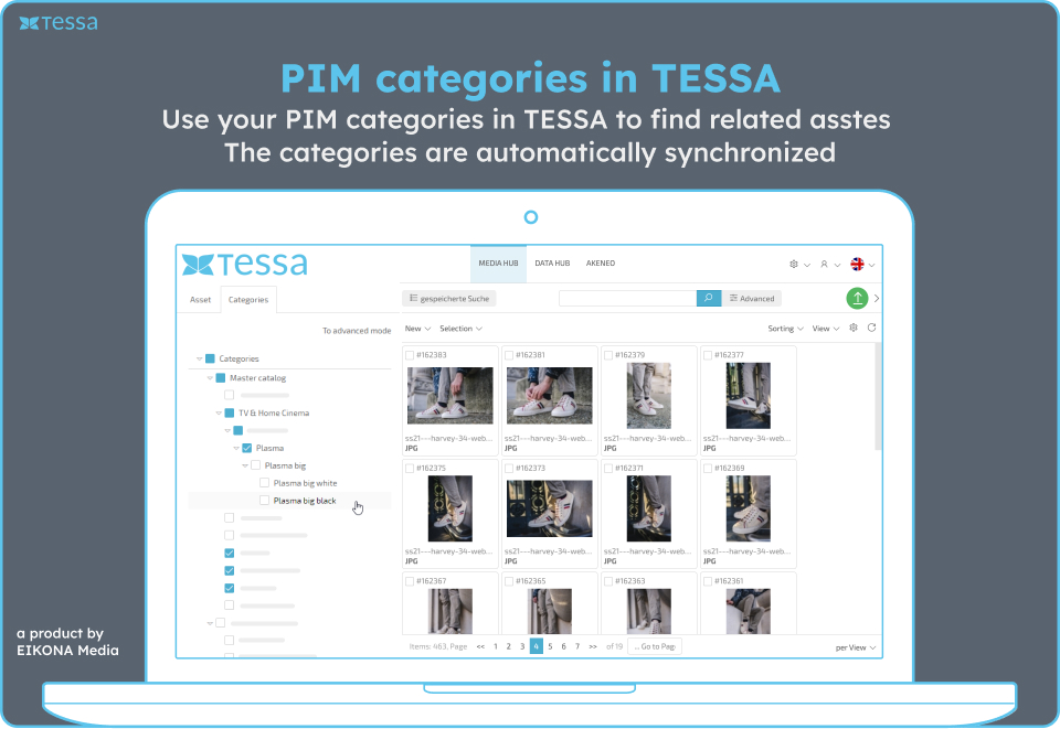 PIM categories in TESSA
