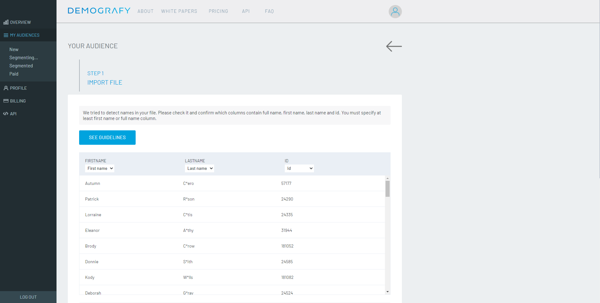 Demografy Software - 2