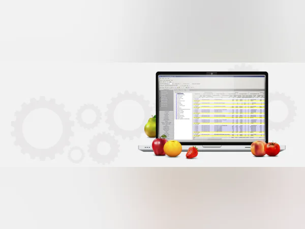 Prophet Software Prophet - Opiniones, precios y características - Capterra España 2025