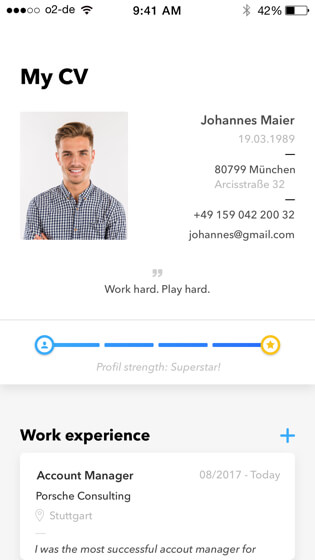 Talentcube candidate CV