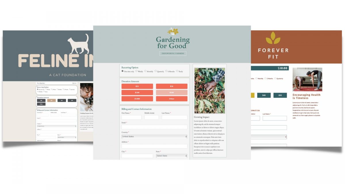 Customizable, responsive donations forms with empowering features. Change colors, fonts, images, and logos to match your organization’s branding.