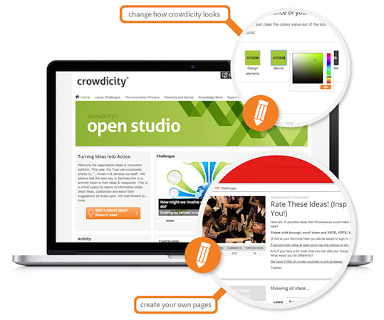 Medallia Ideas screenshot: Crowdicity has a range of customization options