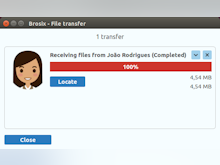 Brosix Software - Brosix received file transfer screenshot