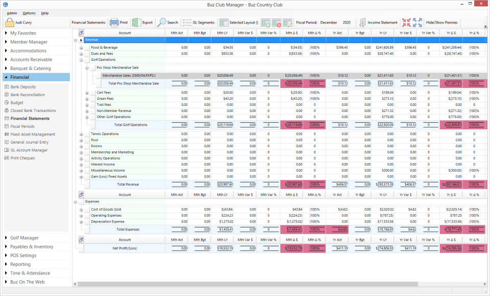 Buz Club Manager screenshot: Buz Club Manager financial reports