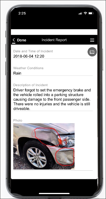 Alpha Anywhere Software - Incident report app example