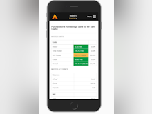 ALB Software - ALB Mobile - Financials