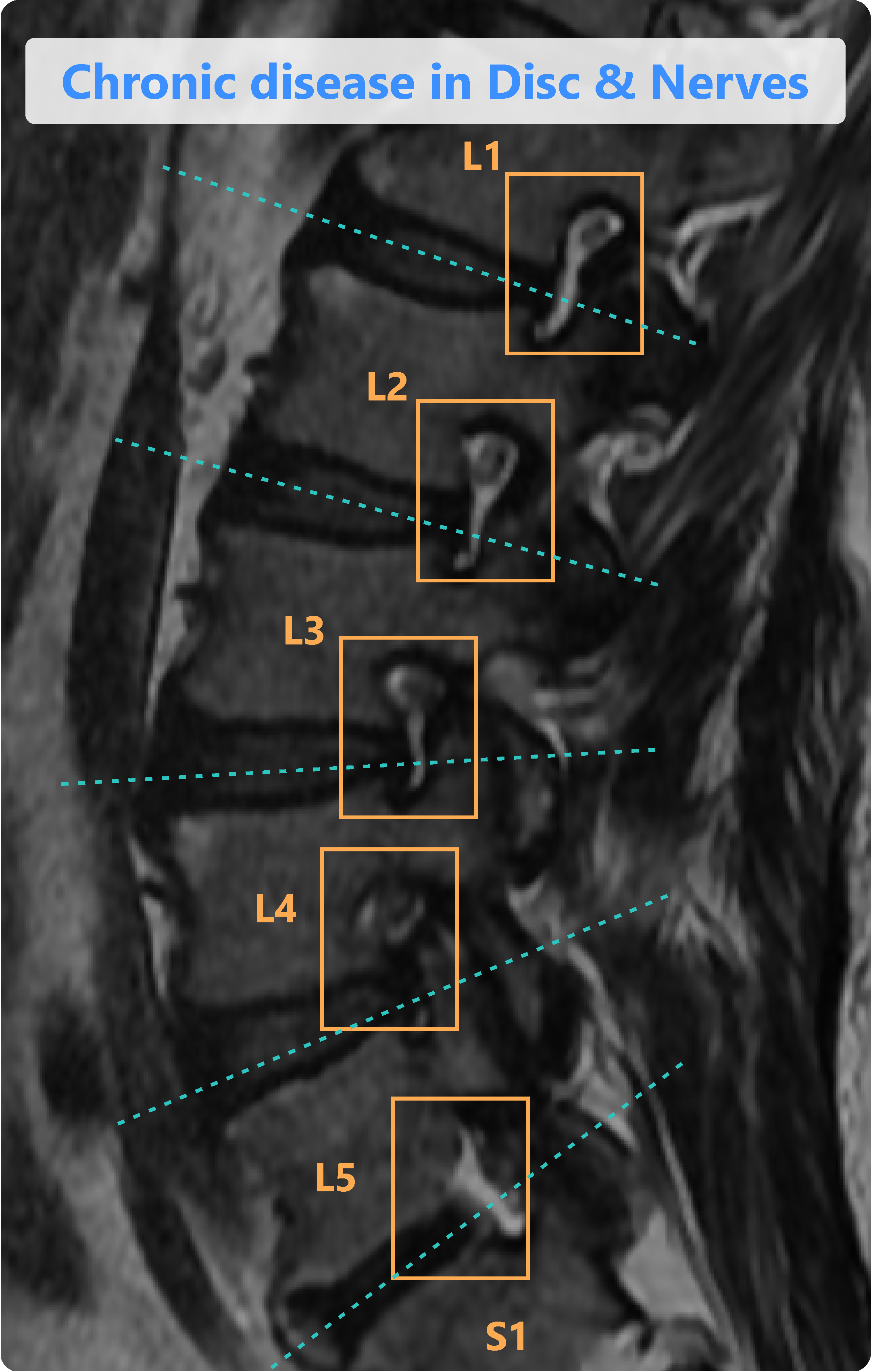 Spindle Pricing, Alternatives & More 2023 Capterra