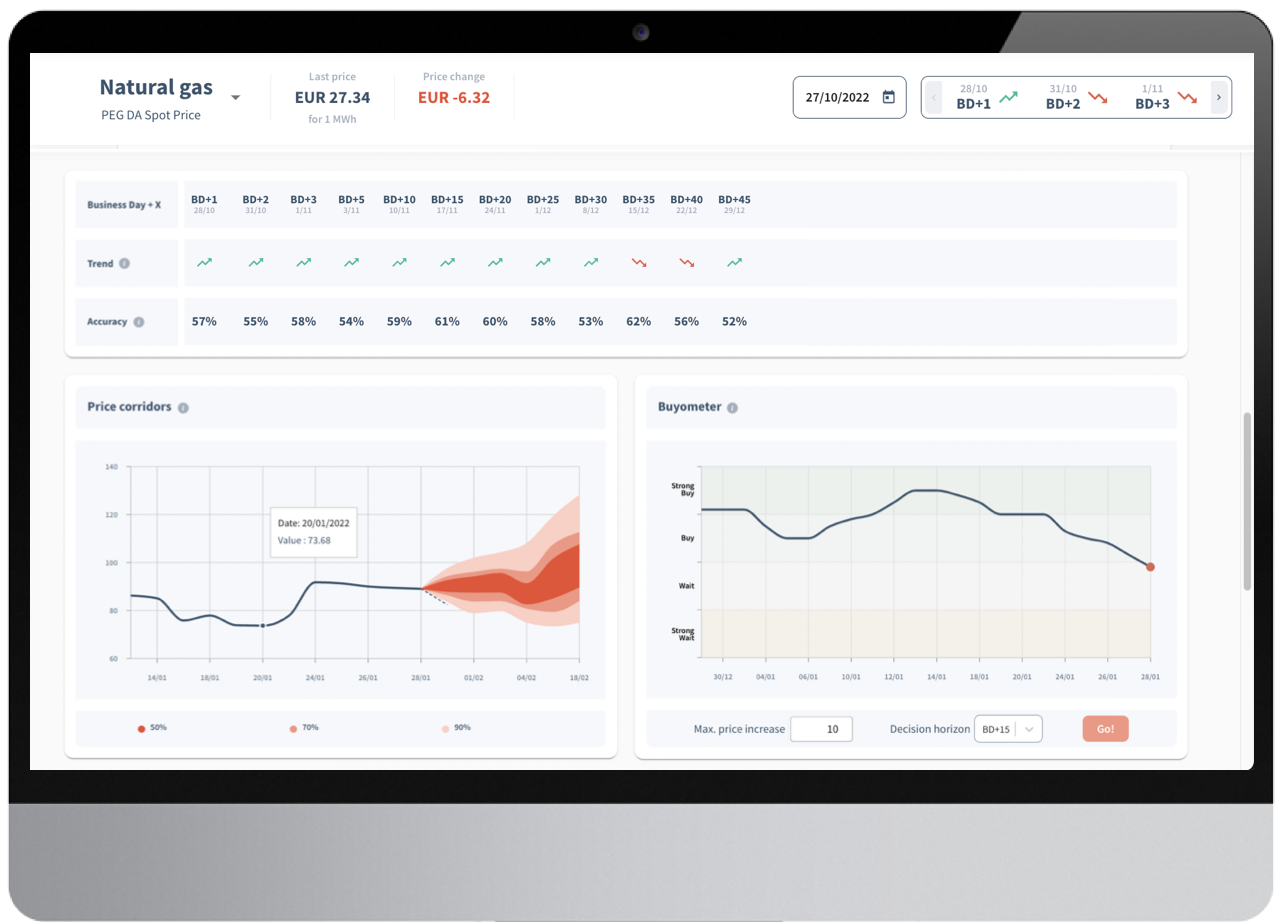 Datapred  screenshot: Energy and raw material market analyses