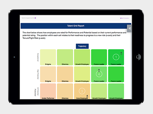 Talent grid reports rate where employees are in terms of performance and potential, charting their suitability for career progression