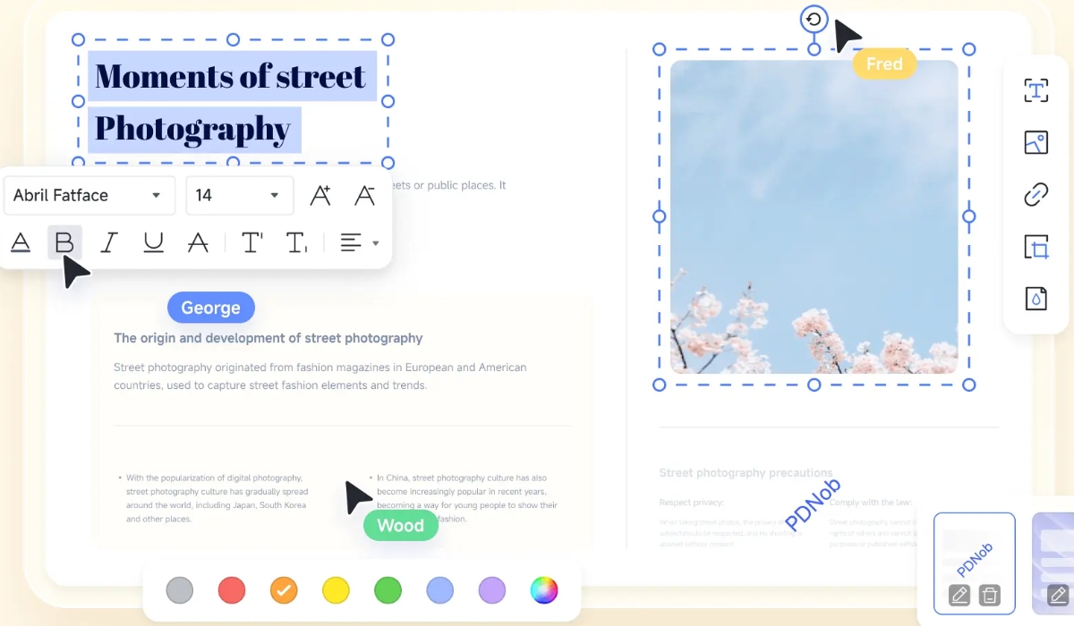 PDNob PDF Editor screenshot: PDNob PDF Editor edit PDF