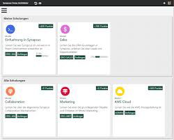 Synapcus Software - 8