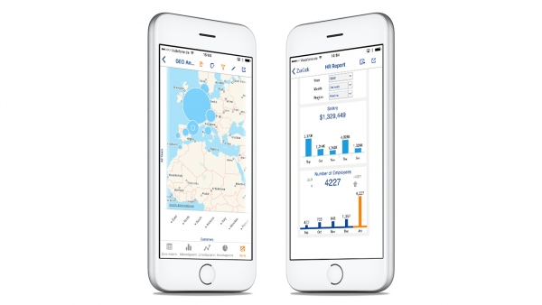 The Jedox Mobile app offers optimized native access for iOS and Android devices