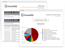 Pulseway Software - Powerful Custom Reporting & White-Labelled Templates