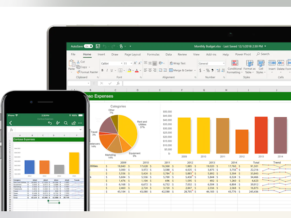 Microsoft Excel Software - Mobile and desktop interface