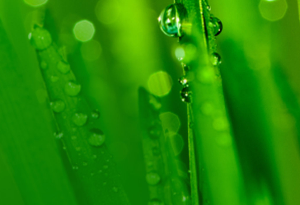 Full Environmental, Health and Safety, and Quality Solution Breadth-thumb