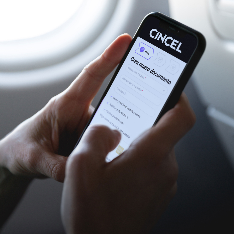 CINCEL Software - 3
