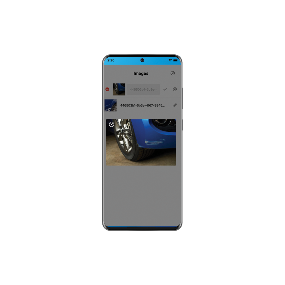 Collect detailed information, signatures and even pictures.