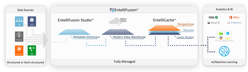 EntelliFusion Software - 2