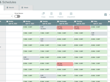 Timesheets.com Software - Employee Schedule with Time Off and Training Day Examples