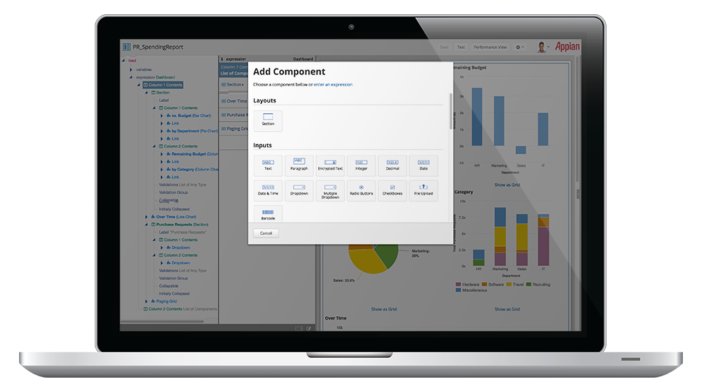 Appian Software - Appian's low-code development platform means components can be combined to create a custom app