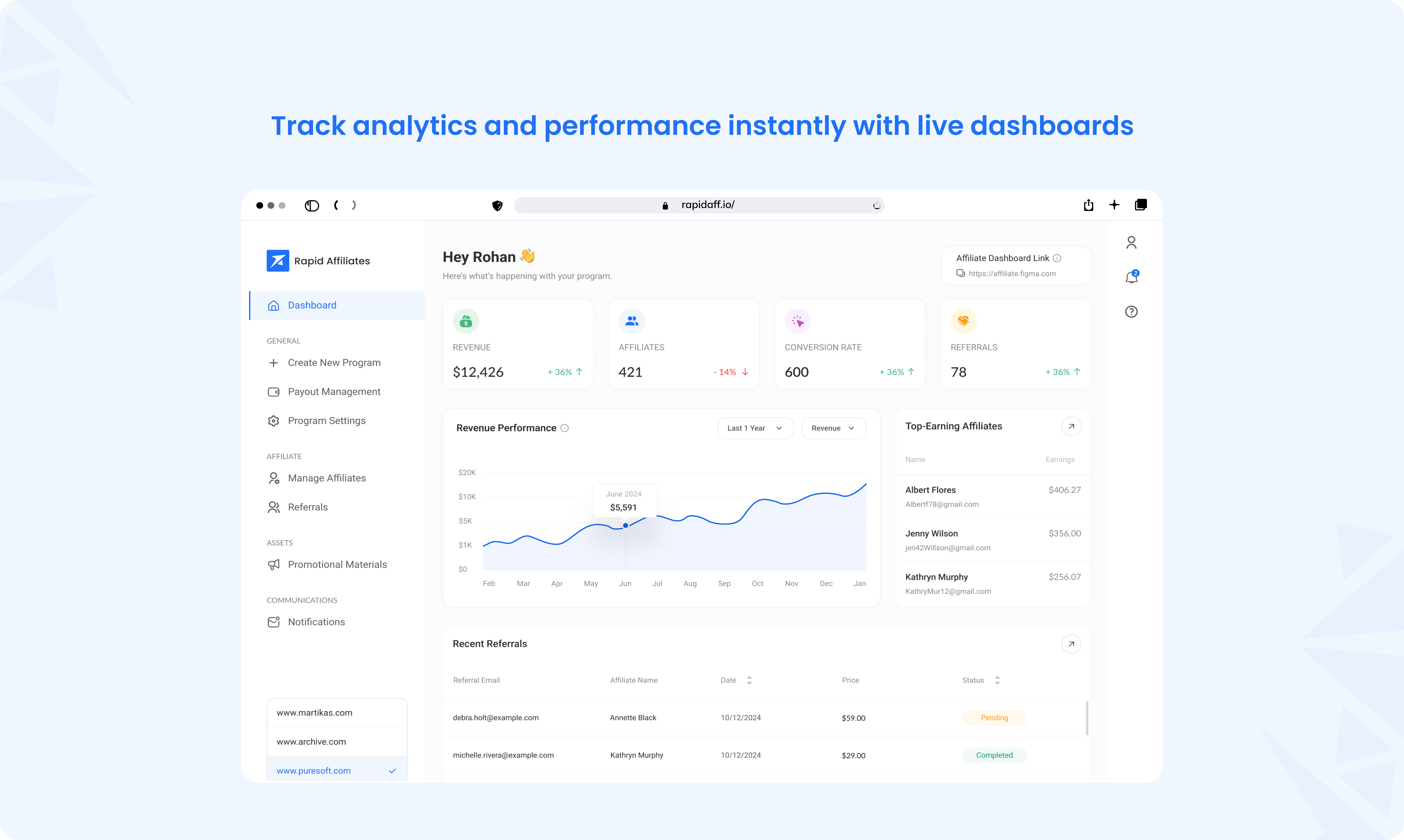Rapid Affiliates screenshot: Rapid Affiliates analytics