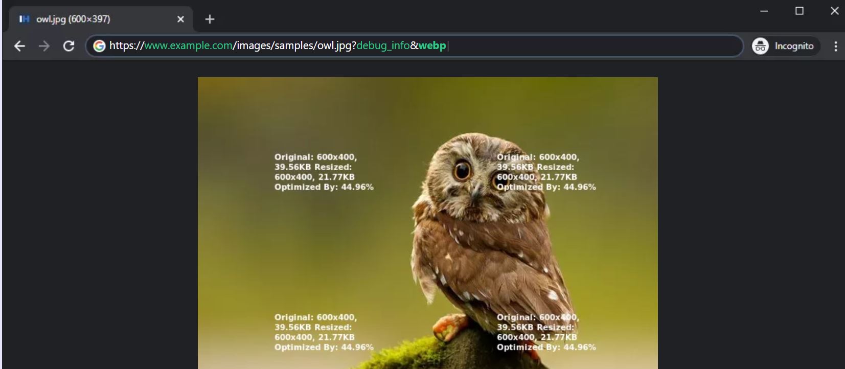 IMGHaste screenshot: IMGHaste image resizing