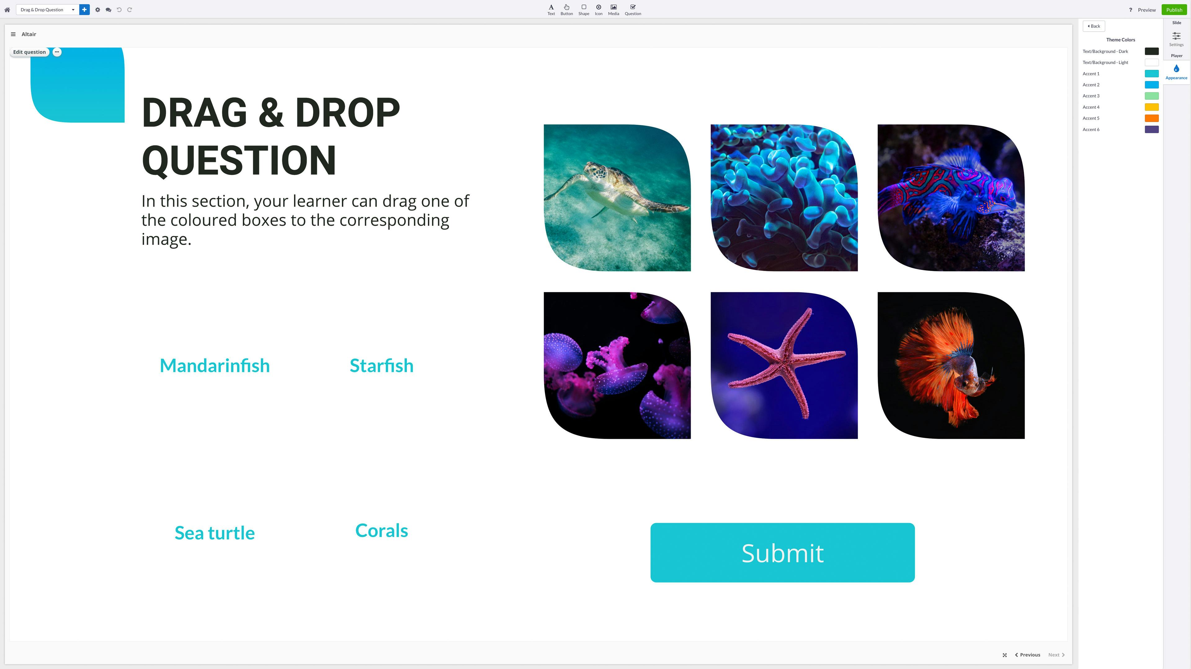 Absorb Create Software - 5
