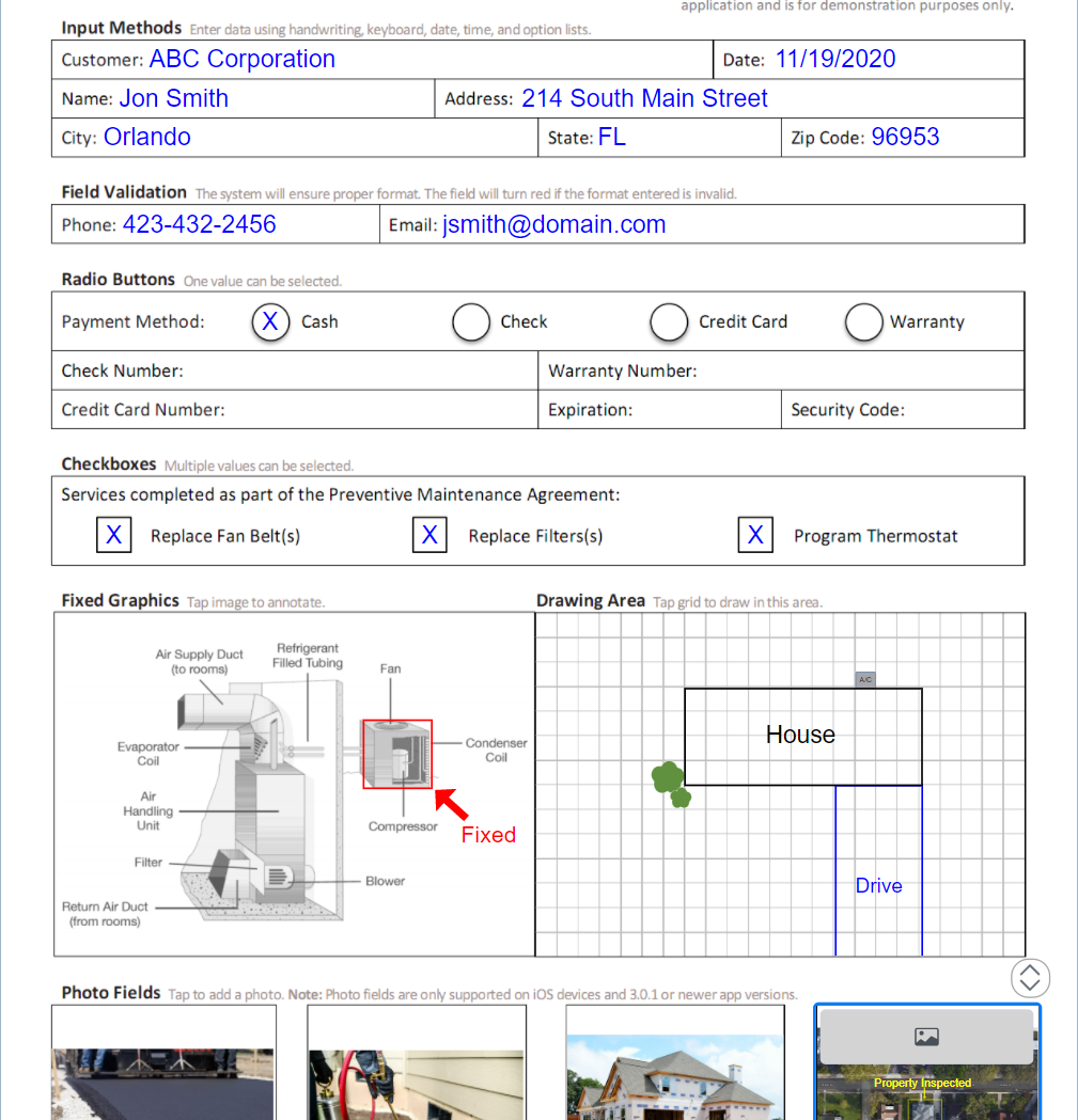 naturalForms Software - 4